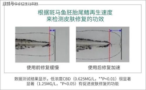来看看大麻成分的护肤品这几种明显的效果