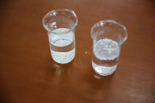 观辟谣实验,尝美味甜品,食品安全牢记心间 浔图小课堂食安专题活动举行