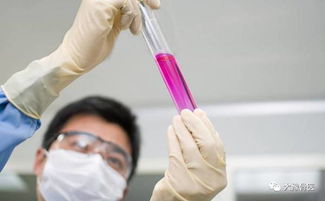 健康│化验之前你要知道的几件事