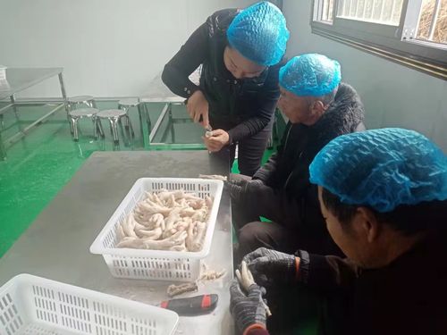 卧龙区潦河坡镇 心中绽放幸福花儿