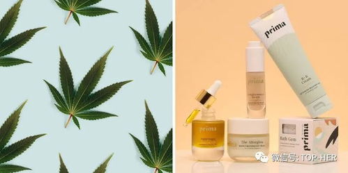 大麻美妆是 概念 还是 未来